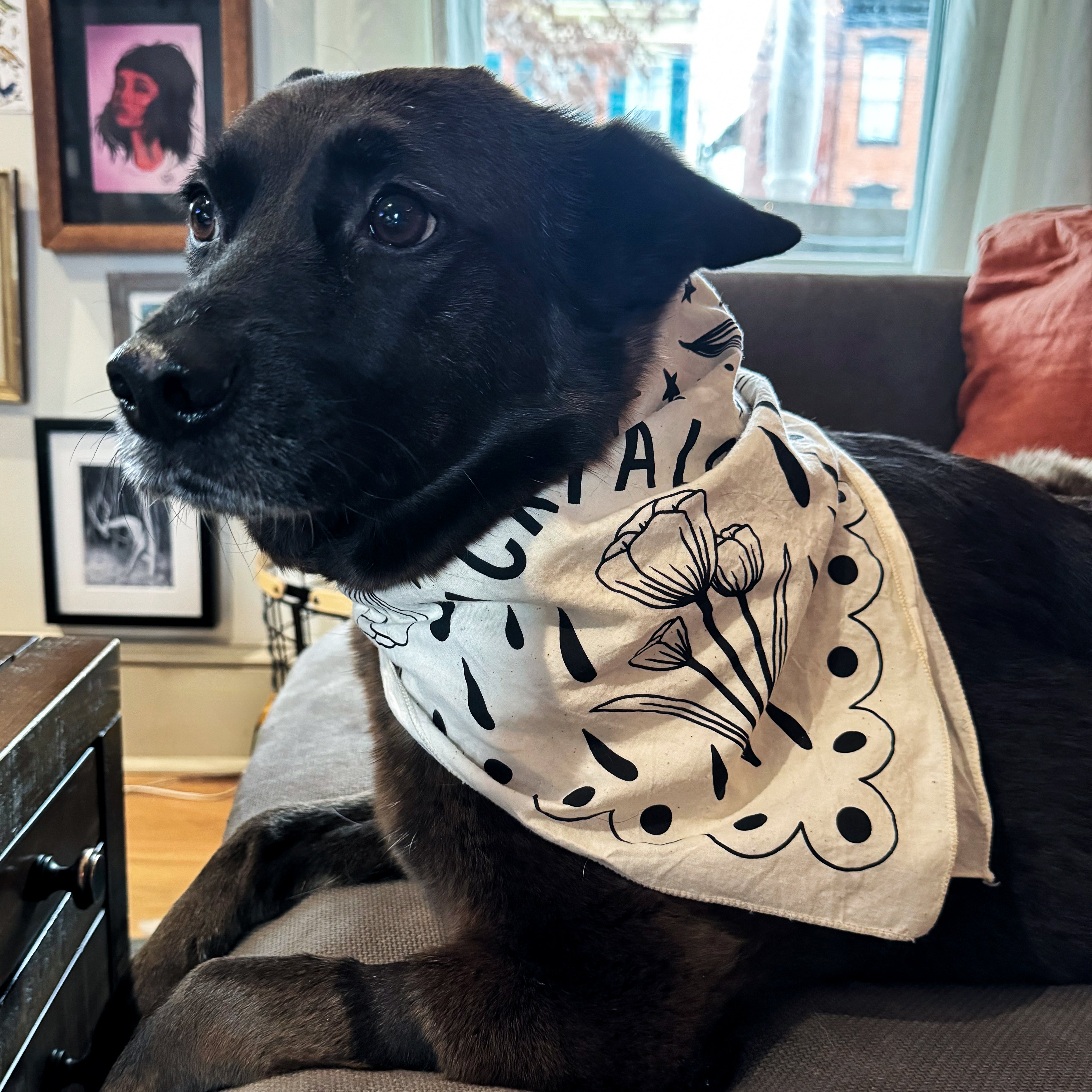 A black dog wearing a cream bandana that says 'I CRY A LOT' with flowers on it.